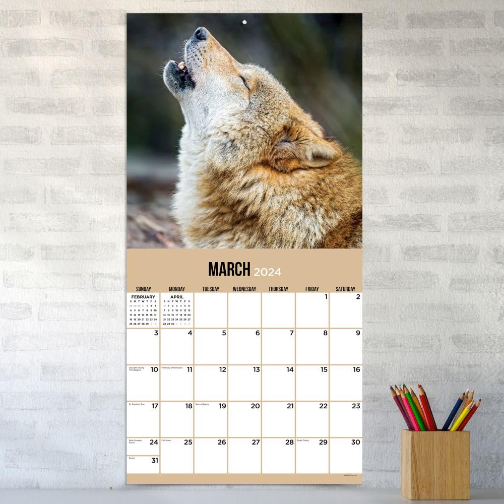 TF Publishing, Wolves 2024 Wall Calendar
