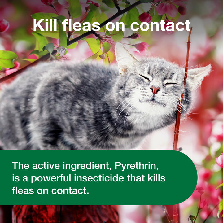 Advantage Flea and Tick Treatment Spray for Cats, 8 oz
