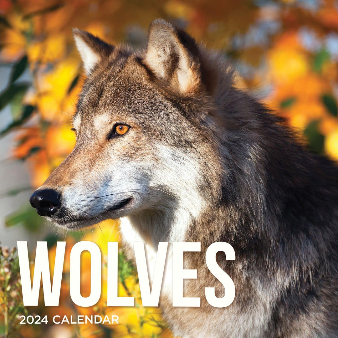 TF Publishing, Wolves 2024 Wall Calendar