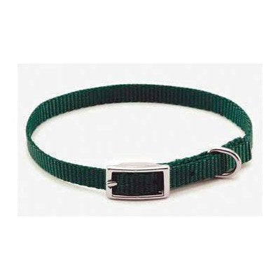 Nylon Small Pet Collar Color: Black, Size: 0.8" W x 18" D