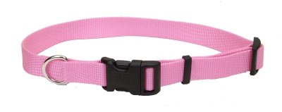 3/4 Nylon Web Collar 18" Bright Pink