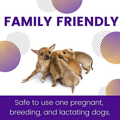 ZoGuard Plus Flea and Tick Prevention for Dogs (Medium - 23-44 lb)