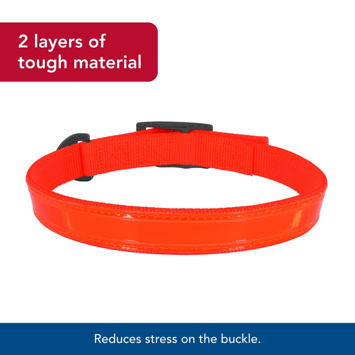 Water & Woods Double-Ply Reflective by Coastal Pet - Safety Orange, 1" x 22"