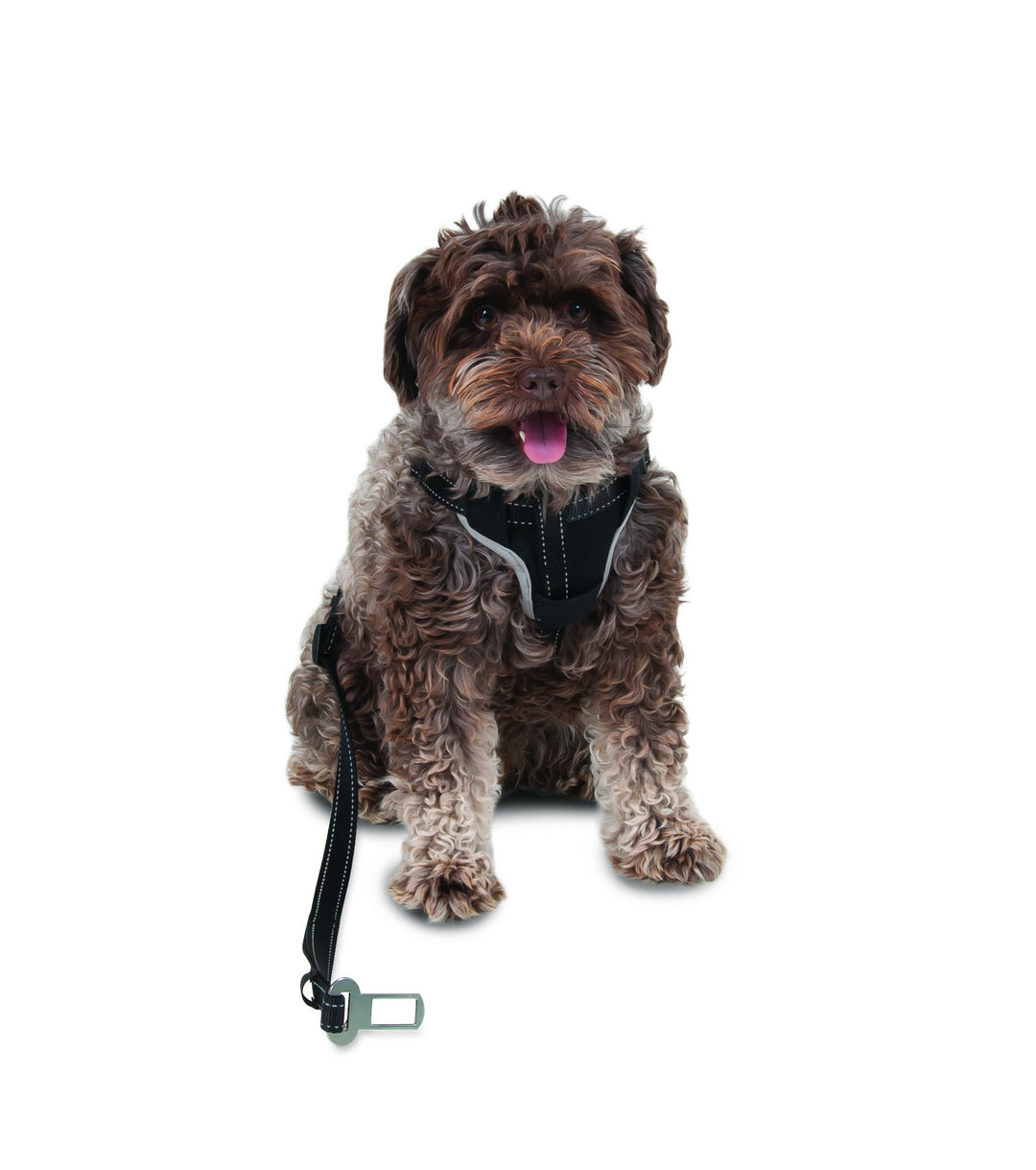 Petmate 11475 The Ultimate Travel Harness for Pets, X-Small, Black