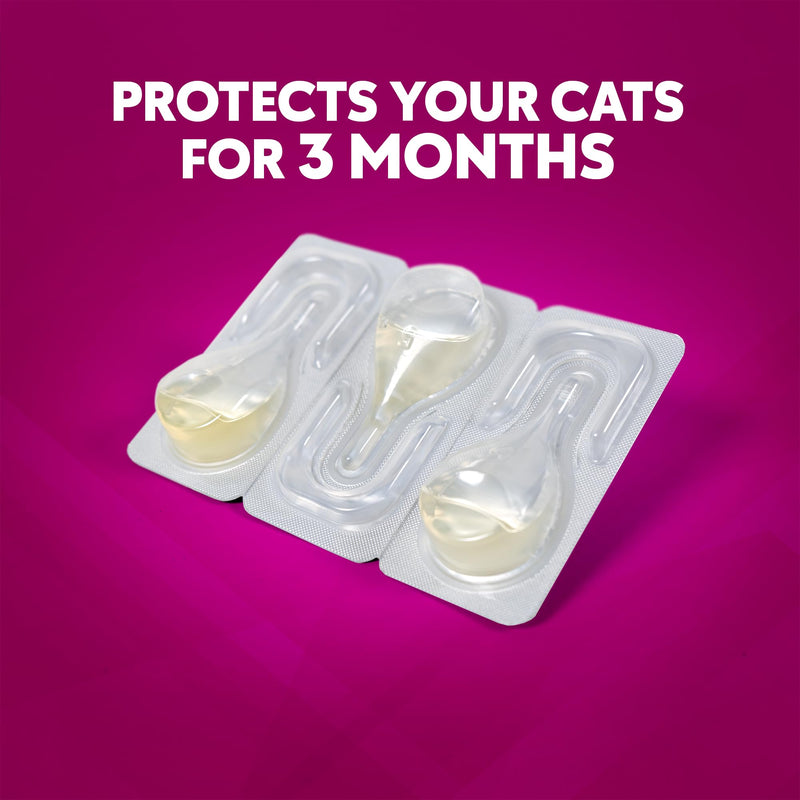 ZoGuard Plus Flea and Tick Prevention for Small Cats – Flea & Tick Prevention for Cats Over 1.5lbs (3 Doses)