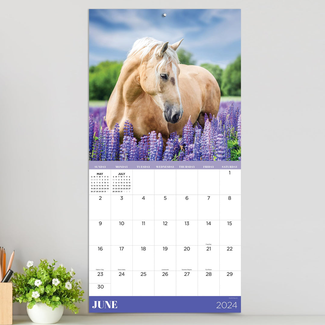 TF PUBLISHING 2024 Horses Wall Calendar, 12"x12”