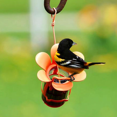 Songbird Essentials Jelly Bird Feeder, Oriole Feeder, Easy to Fill with Jelly or