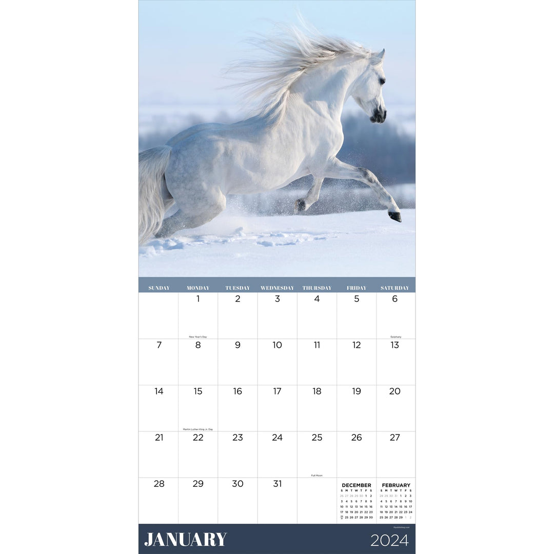 TF PUBLISHING 2024 Horses Wall Calendar, 12"x12”