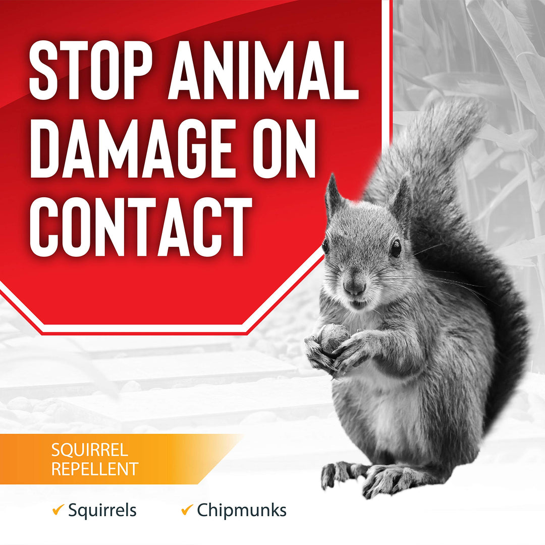 Messina Wildlife Squirrel Stopper-Safe & Effective ,Repel Squirrels/Chipmunks
