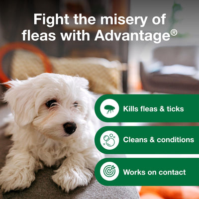 Advantage Flea and Tick Treatment Shampoo for Dogs and Puppies, 24 oz