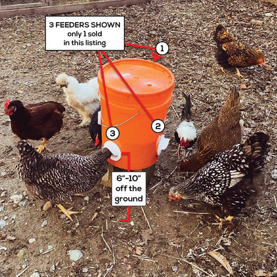Poultry Pro Feeder DIY Port PVC Gravity Fed Chicken Feeder Single Unit