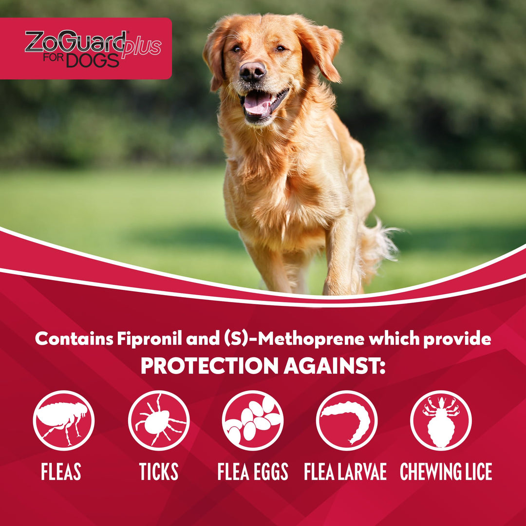 ZoGuard Plus Flea and Tick for Large Dogs – Flea & Tick Prevention for Dogs