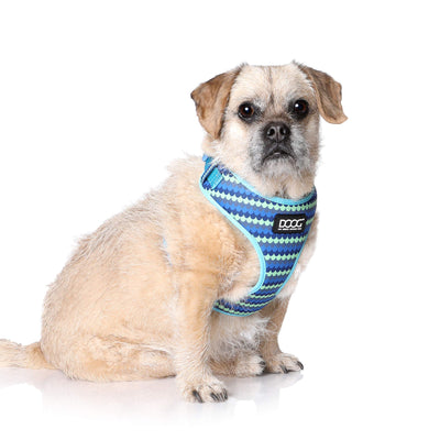 DOOG - All Weather 'Neoflex" Dog Harness,Flexible Neoprene Breathable Mesh Padding Easy Fit Small,Medium,Large,XL Soft Comfortable 2 Point Adjustable Leash Training Run Walk Swim,Blue/Aqua,HARN1SOFT-L
