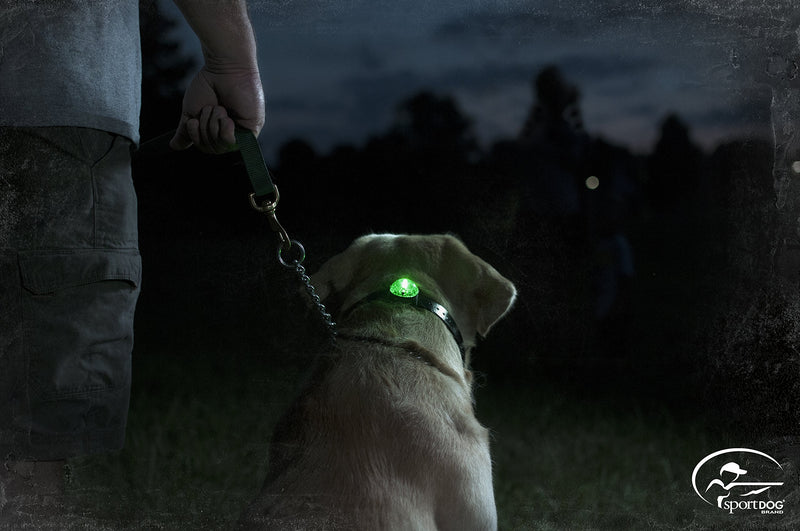 SportDOG Brand Locator Beacon - Bright, Waterproof Dog Collar Light w/ Carabiner