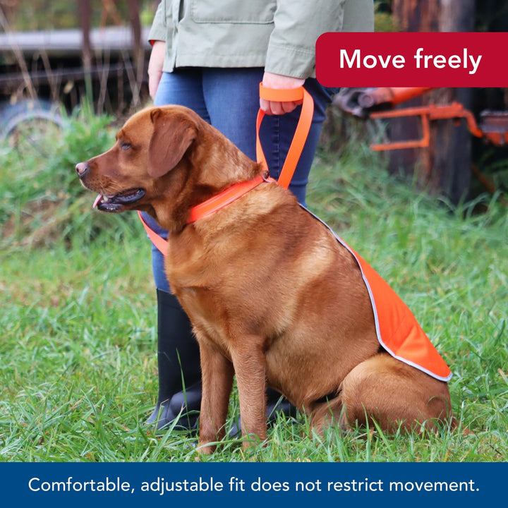 Reflective Dog Safety Vest by Coastal Pet  - Orange, Medium (18-50 lbs.)
